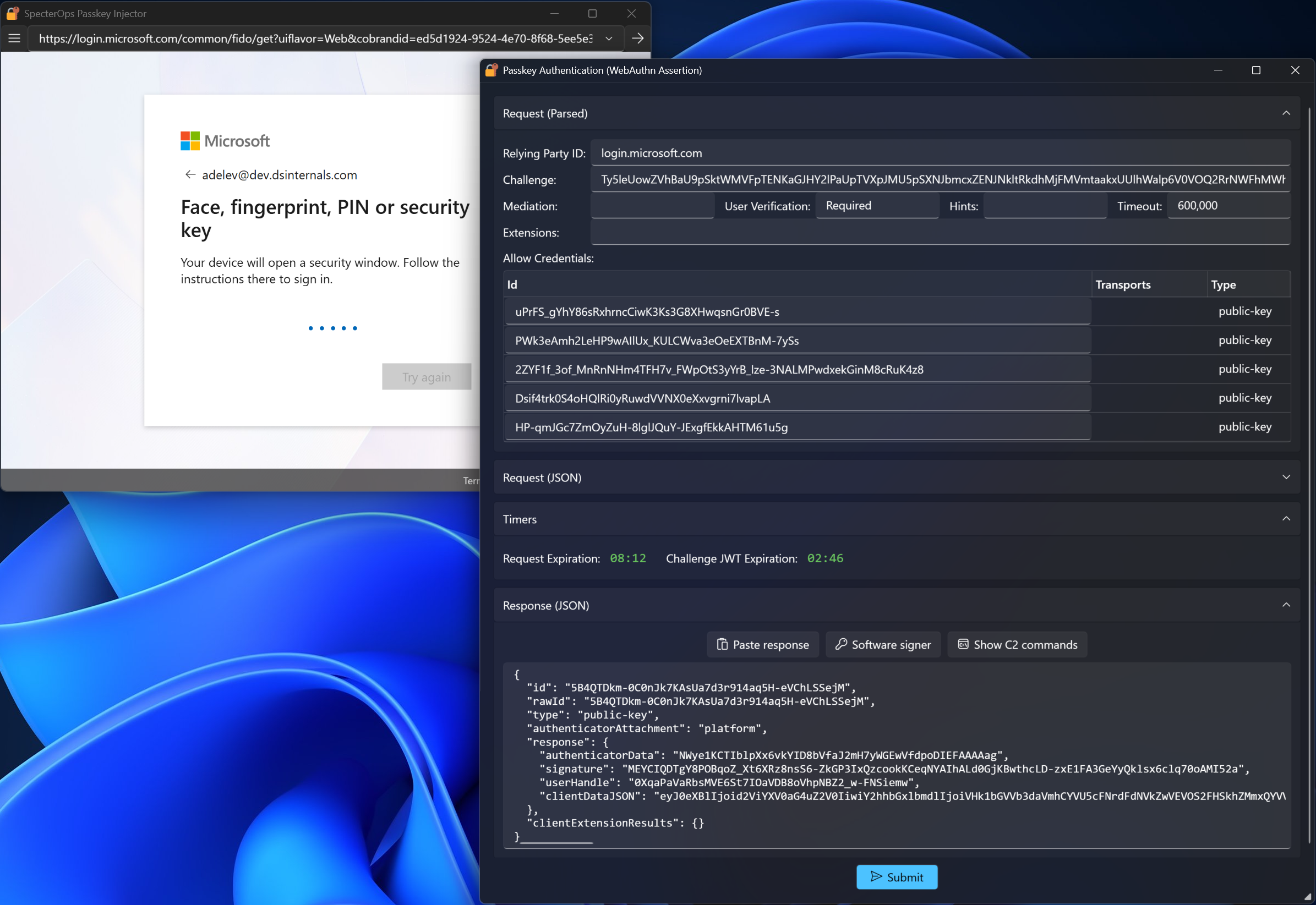 Screenshot passkey injectoru